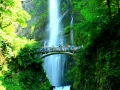 Multnomah Falls - 1