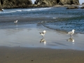 Bandon Beach - 2